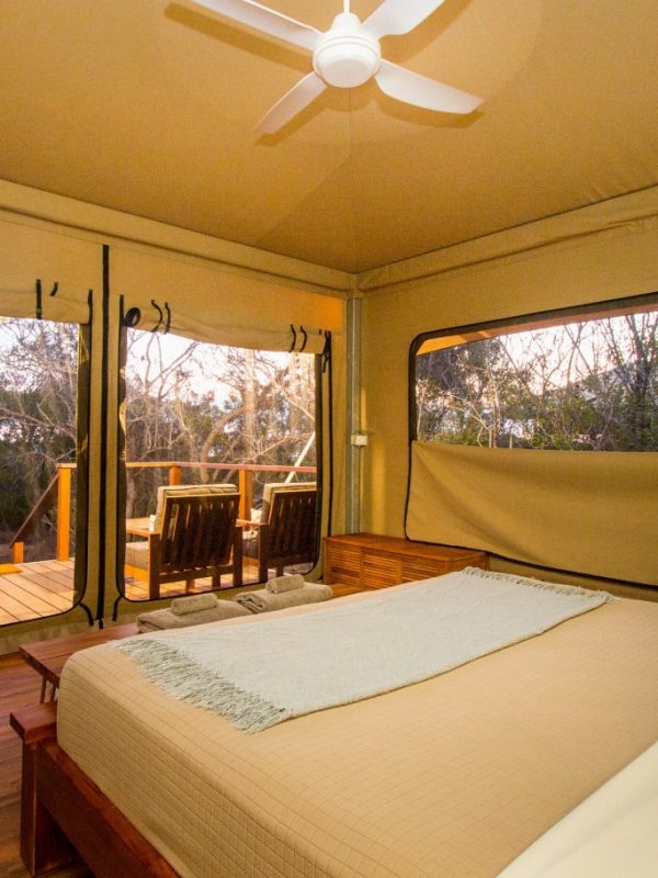 deluxe safari tent View from inside a deluxe safari tent, where guests staying in this tent care a short distance from the turquoise waters of Cygnet Bay. Above the bed is a ceiling fan to keep cool, and on the deck are two comfortable chairs for relaxing.
