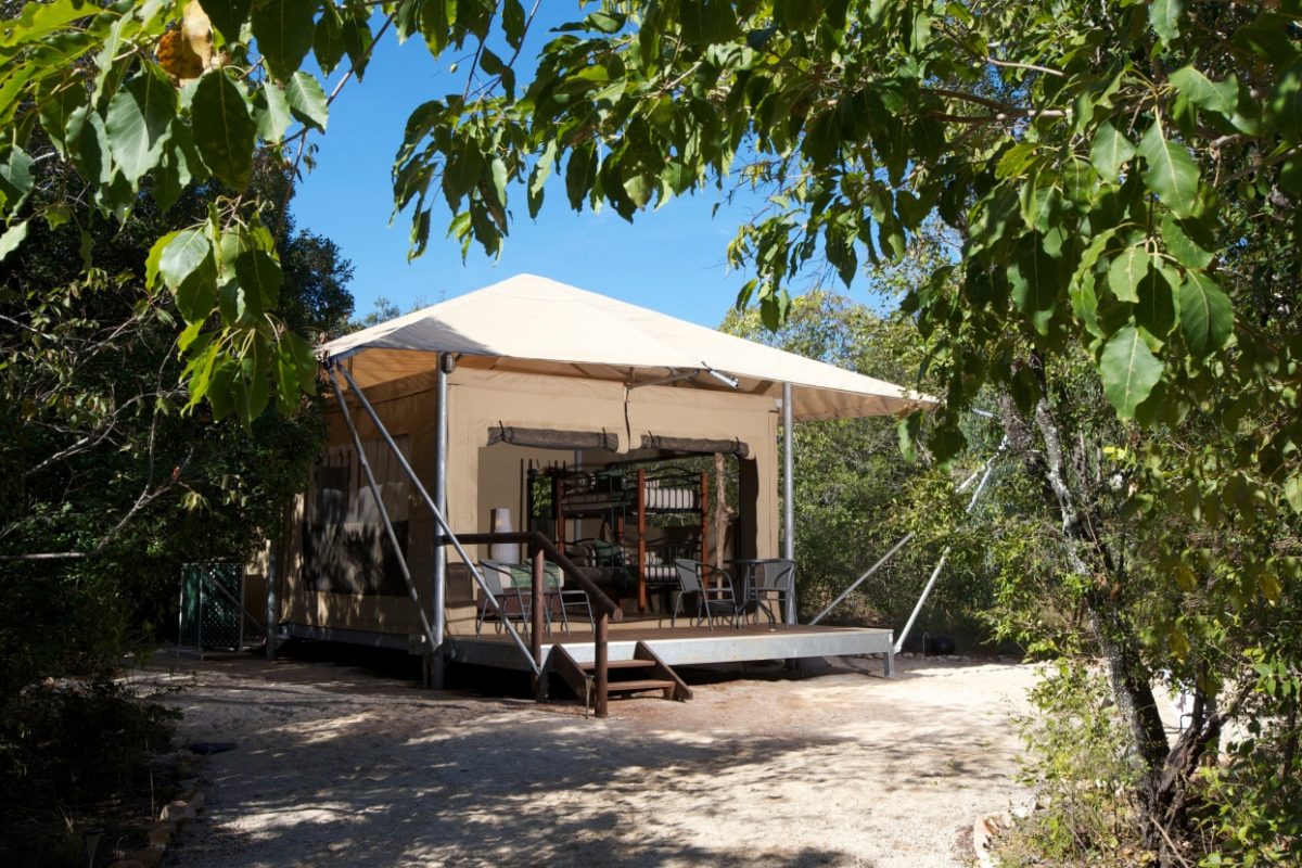 The Family Rainforest Safari Tent External photo to show the native tropical plants and trees surrounding this accommodation site.