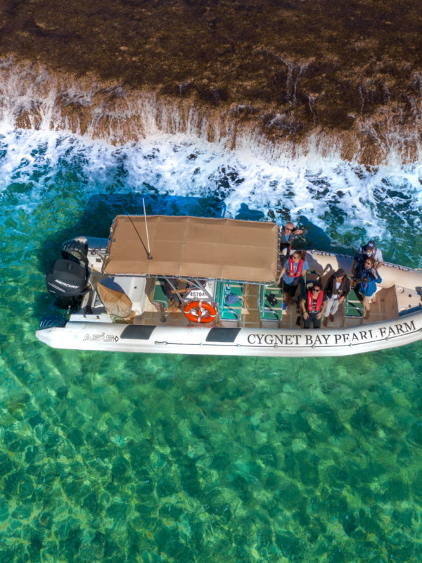Waterfall Reef Sea Safari