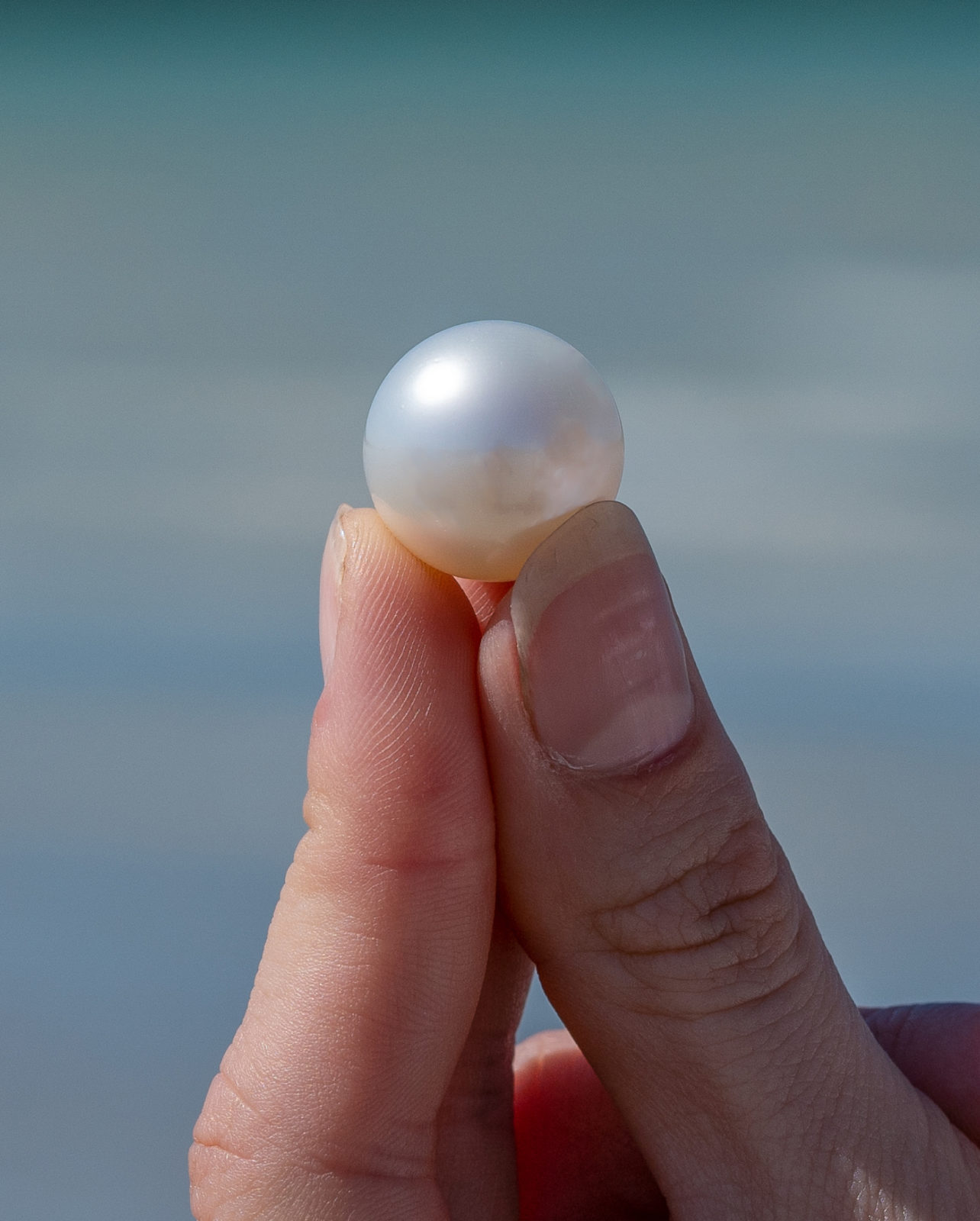 An individual holds an Australian South Sea Pearl between their thumb and pointer finger. It shines in the sunlight, showing its natural colour and lustre.