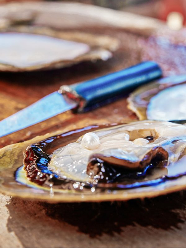 pearl harvest broome A stunning Australian South Sea pearl sits on a freshly shucked Australia South Sea oyster after being harvested at a Live Harvest tour which can be experienced at both our Cygnet Bay Pearl Farm and our Broome Showroom.