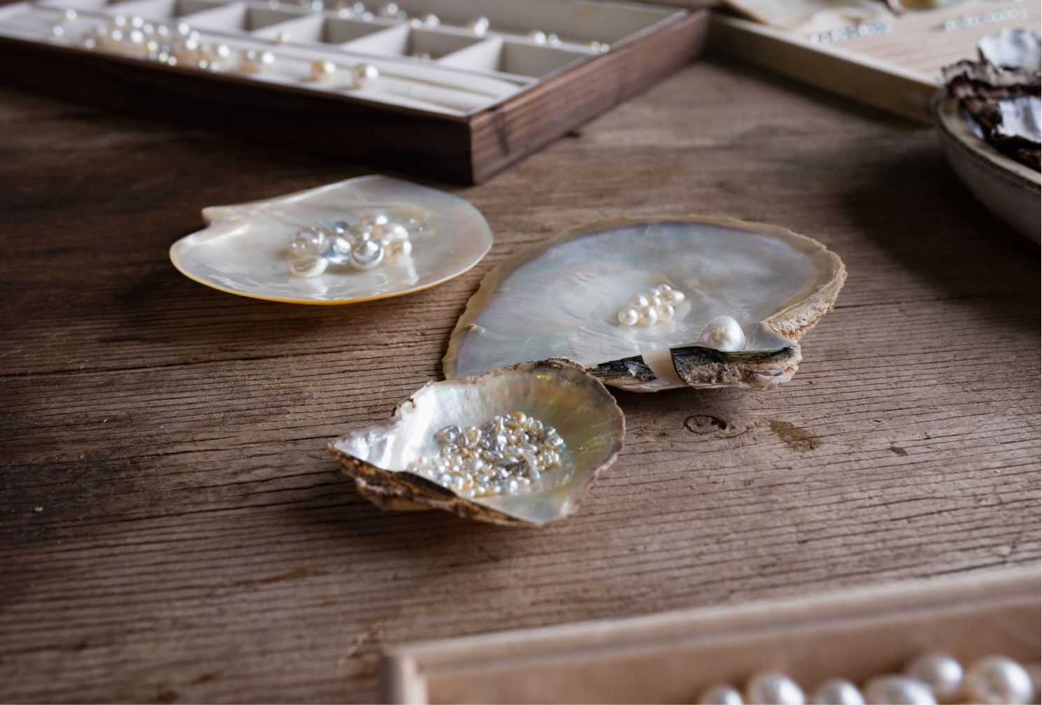 Three mother of pearl shells sit on a wooden table. In one shell are Australian South Sea pearls grown at our Cygnet Bay Pearl Farm. In the other shell are Australian Akoya pearls grown at our Broken Bay Pearl Farm. In the Akoya mother of pearl shell are Australian Akoya Keshi pearls also grown at Broken Bay Pearl Farm. Guests are encouraged to touch and feel these pearls during our Shellar Door Pearl Grading Experience. How Do You Tell if Pearls are Real?