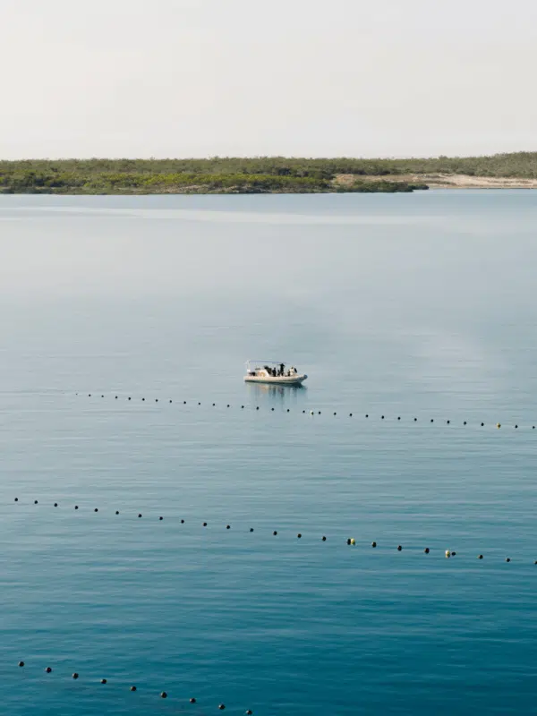 A photo of pearl farm boat moving along the lines, while guests learn about all the pearl culturing and harvesting processes that we conduct at Cygnet Bay Pearl Farm on our Pearling Cruise.