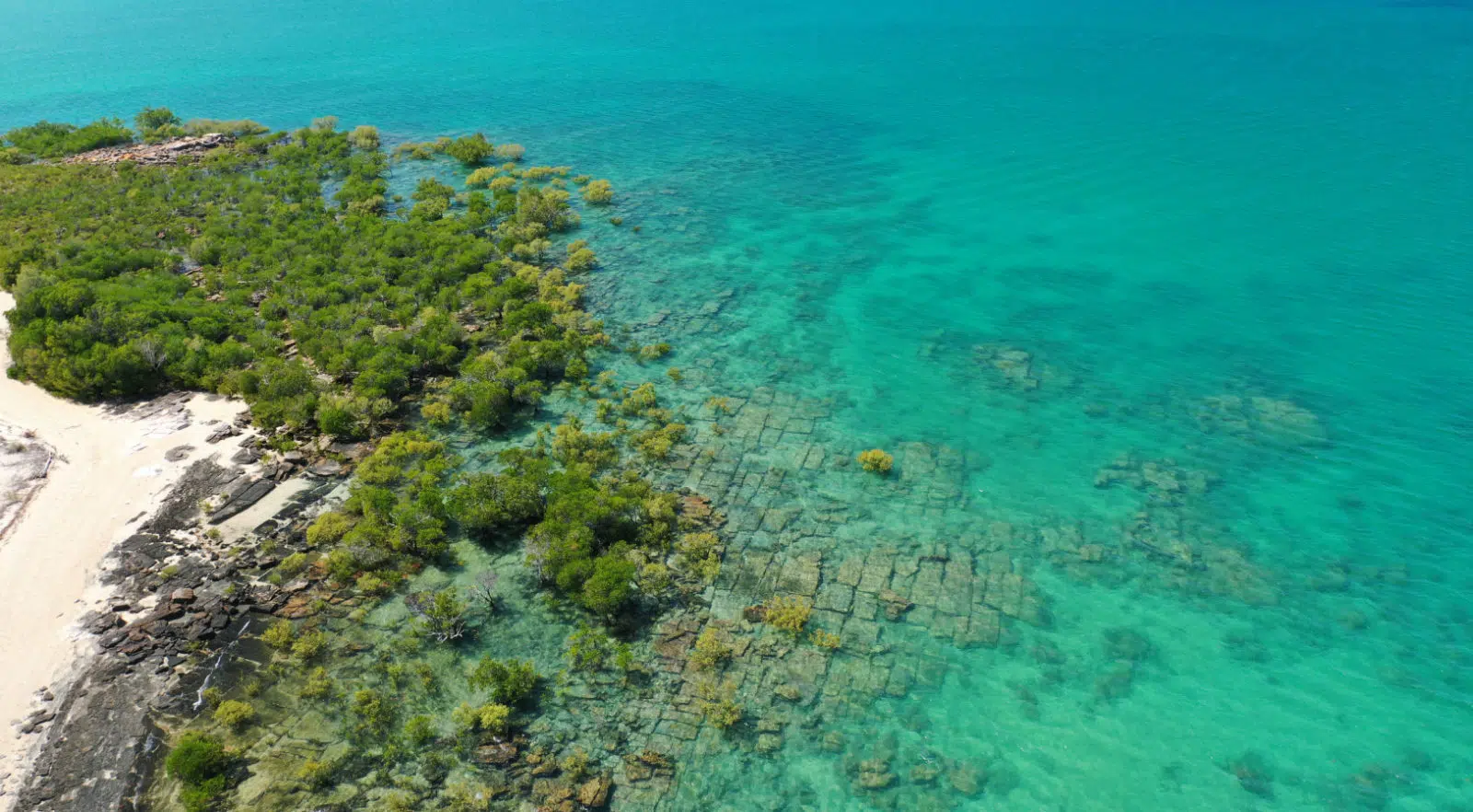 Image of Cygnet Bay's beautiful turquoise waters, with rocks and mangroves seen under water due to how clear the sea is.
