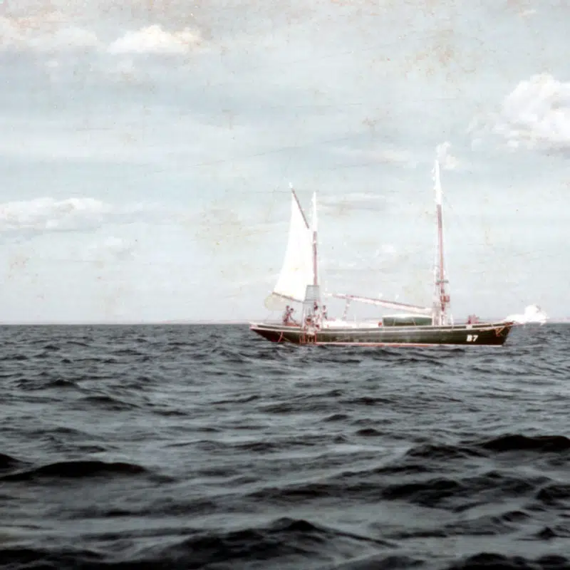 pearl farmers dream 1